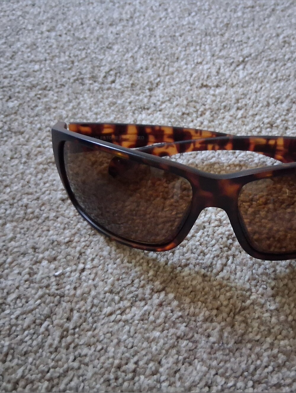 SunCloud Milestone Polarized Sunglasses Tortoise Wrap Frame Unisex
